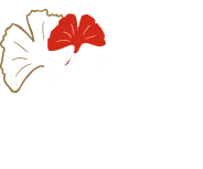 SERVICE VERT logo