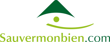 VICTORIA CONSEILS logo