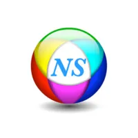 NUMERIQUE SERVICES logo