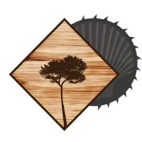 SCIERIE DE SAINT YAGUEN logo