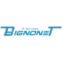 BIGNONET IT SERVICES logo