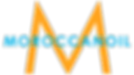 LOUNGE COIFFURE logo