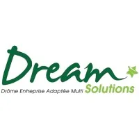 DREAM SOLUTIONS logo