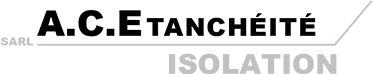 A.C.E. logo