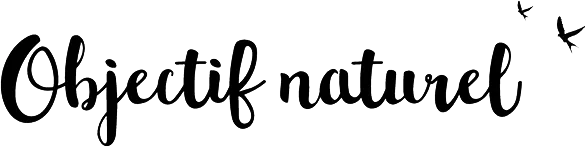 SECHER PENELOPE logo