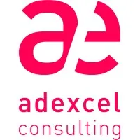 ADEXCEL CONSULTING logo