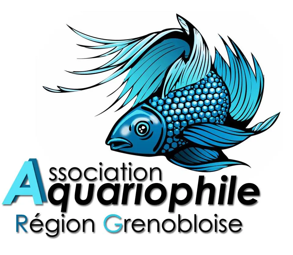 ANIMOSFERY logo