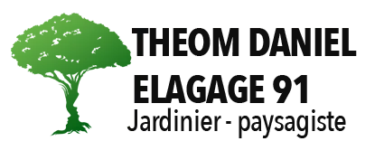 THEOM ALLAN logo