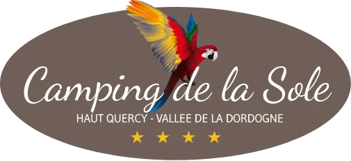 LA SOLE logo
