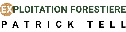 Voici le logo de la marque EXPLOITATION FORESTIERE LE BOUSCATIER & FILS qui représente son identité graphique.