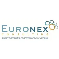 EURONEX CONSULTING logo