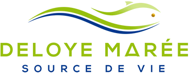ALLIANCE O logo