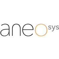 ANEOSYS logo