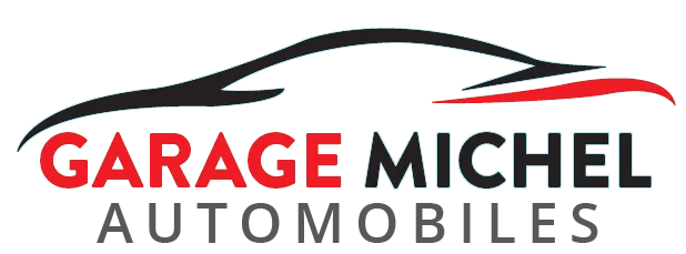 ADIMORAH PRINCE MICHEL logo