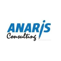 ANARIS CONSULTING logo