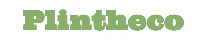 PLINTHECO logo