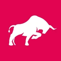 BULLS MARKET GROUP logo