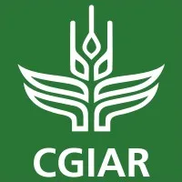 Voici le logo de la marque ORGANISATION DU SYSTEME CGIAR qui représente son identité graphique.