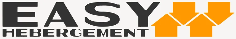 Voici le logo de la marque INFINITY SALSA qui représente son identité graphique.