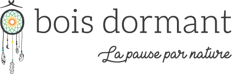 DREAMTREES SARL logo