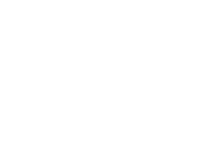 PAYMAL S. logo