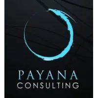 PAYANA CONSULTING logo