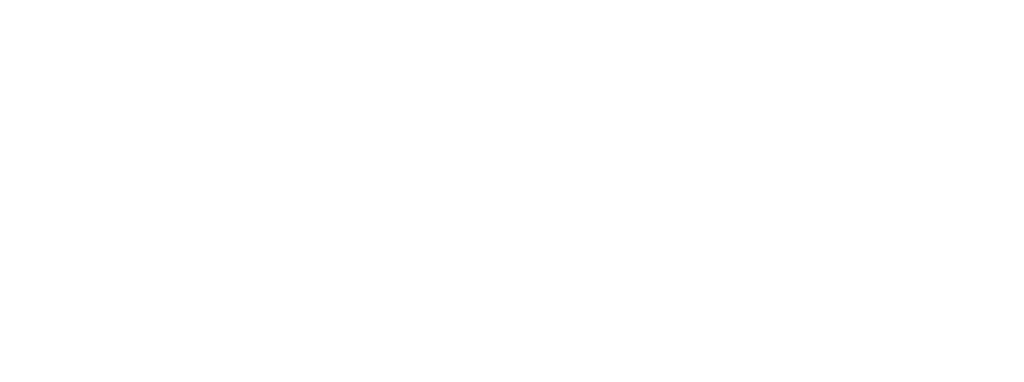 VILLENEUVE OPTIQUE logo