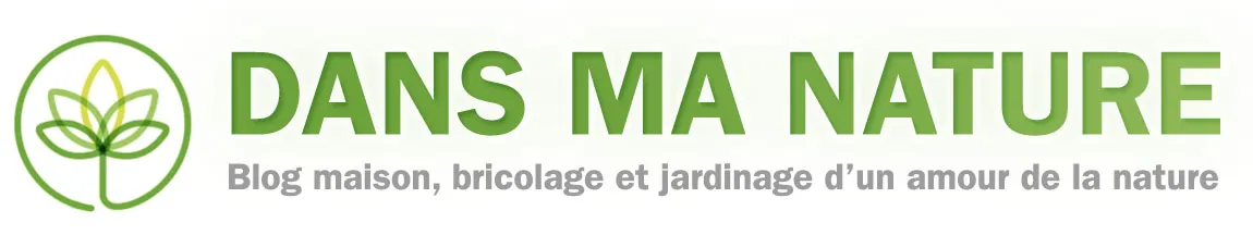 A&V HOME logo