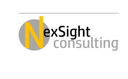 NEXSIGHT CONSULTING logo