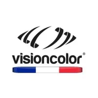 VISION COLOR logo