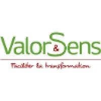 V&S logo