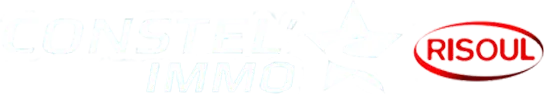 CONSTEL IMMO logo