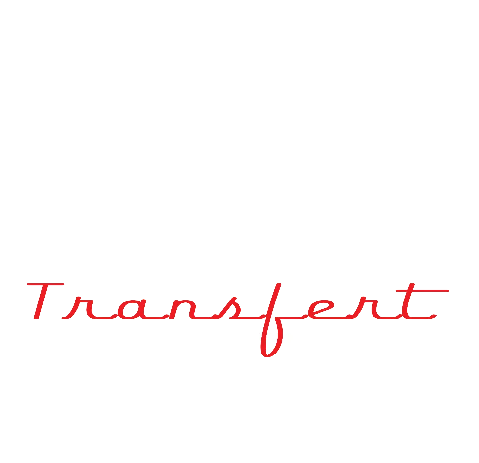 MOTO TRANSFERT logo