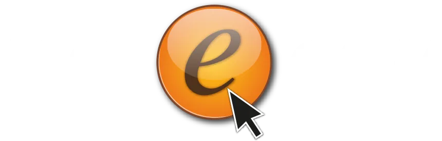 MAX-ECOM logo