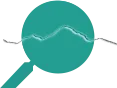 ORSO logo