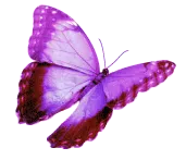MORGANE BEAUTE logo