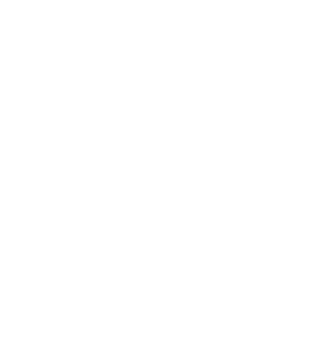 BLACK RHINO logo