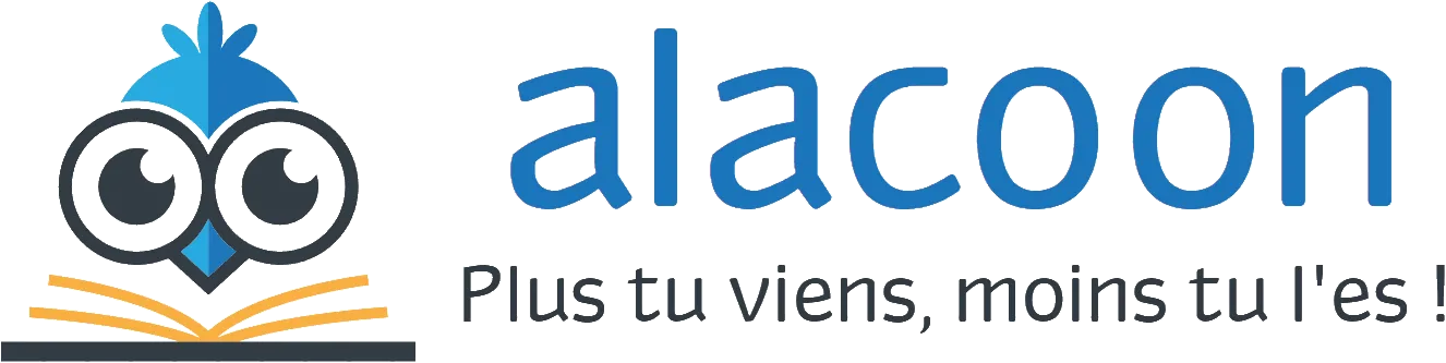 DNI SAS logo