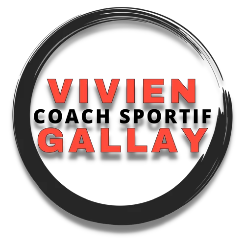 GALLAY VIVIEN logo