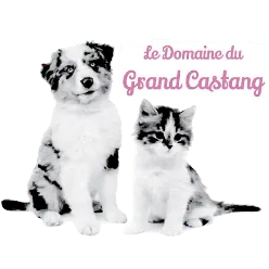 LE GRAND CASTANG logo
