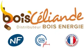 BOIS'CELIANDE logo