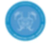 DEFFEZ KARINE logo