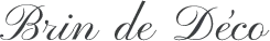 BRIN DE DECO logo