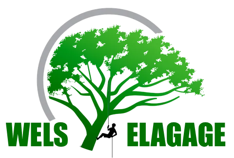 WELS PAUL logo