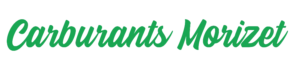 CARBURANTS MORIZET logo