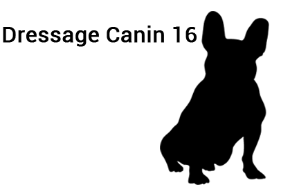 BRUNI LUDOVIC logo