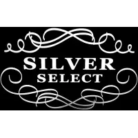 SILVER SELECT logo