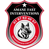 AMANE FAST INTERVENTIONS logo