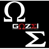 INTRUSION GOZZI SECURITE logo