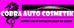 DIJON WEB CONSEIL logo
